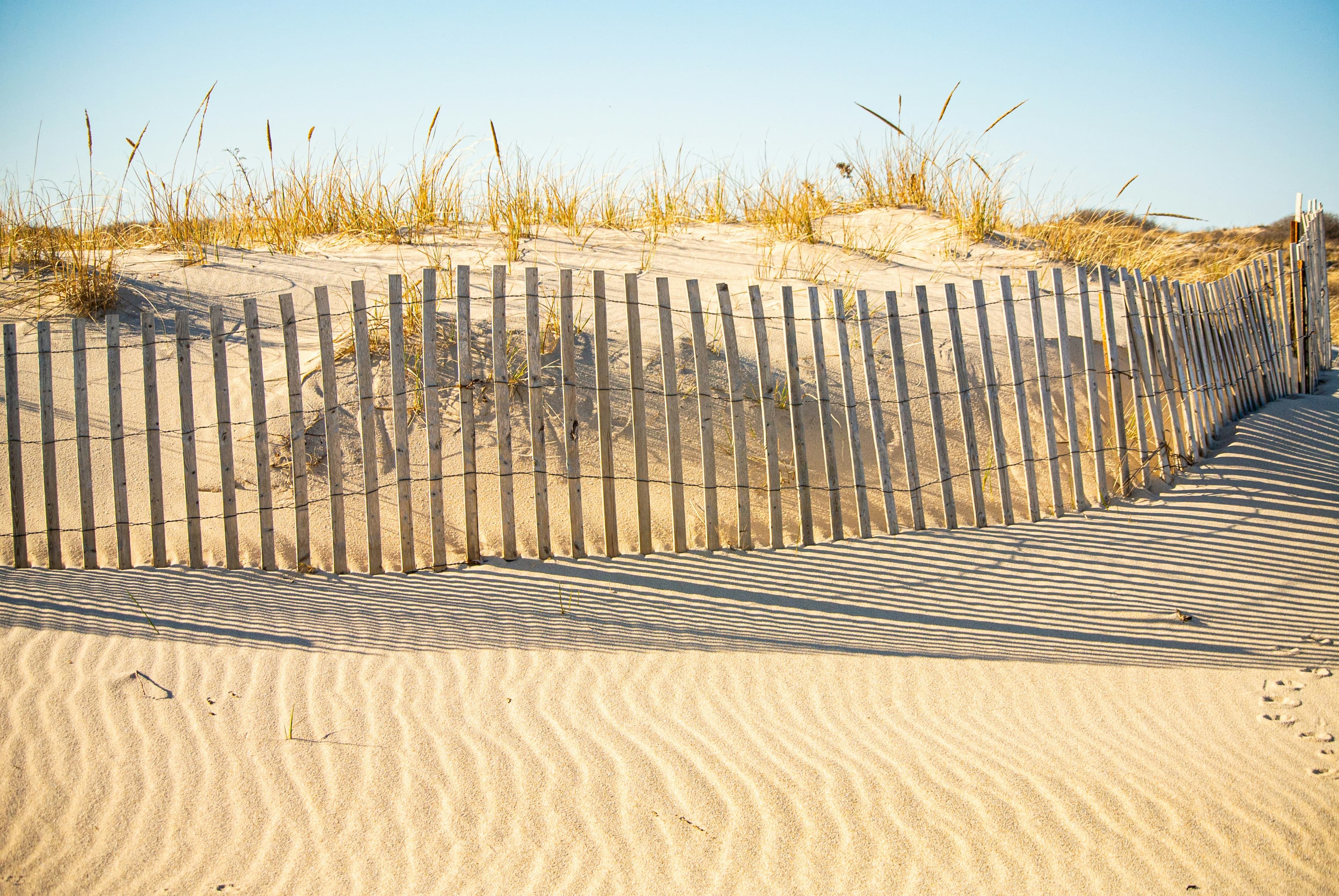 A snow fence winding through the dunes at East Hampton
